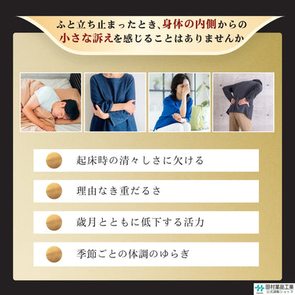 極品 力精