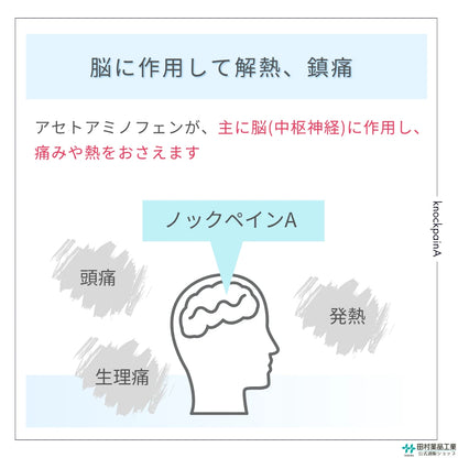 解熱鎮痛薬 ノックペインA