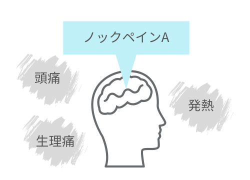 アセトアミノフェンが中枢神経に作用するイメージ