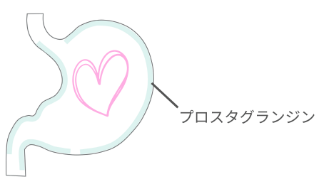 胃のイラストとプロスタグランジンのイメージ