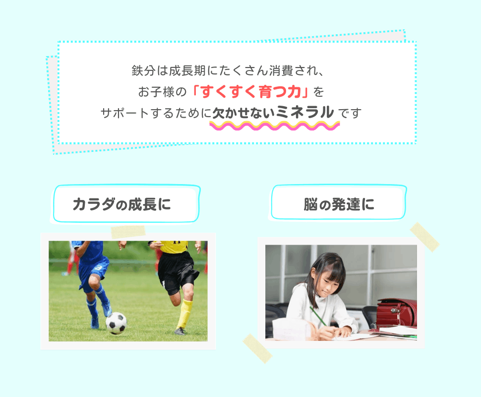鉄分は成長期にたくさん消費され、お子様の「すくすく育つ力」をサポートするために欠かせないミネラルです