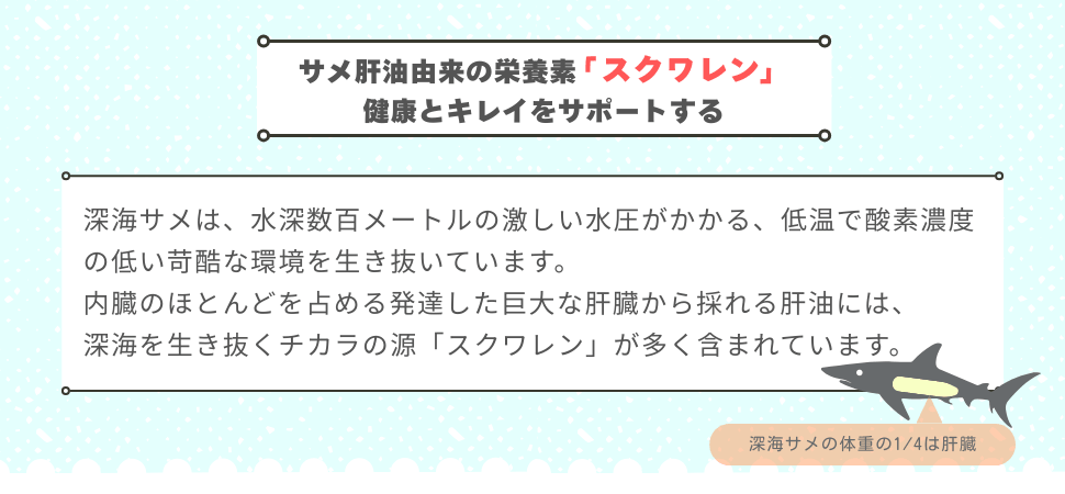サメ肝油由来の栄養素「スクワレン」健康とキレイをサポートする