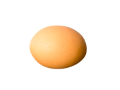 卵の画像